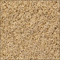 Frieze Carpet Carpet Page